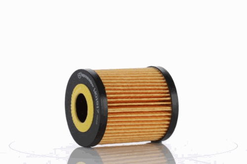 FILTER ULJA ULOŽAK BMW 5 E39 PZL